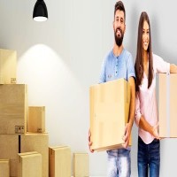 Best Packers and Movers in Noida 